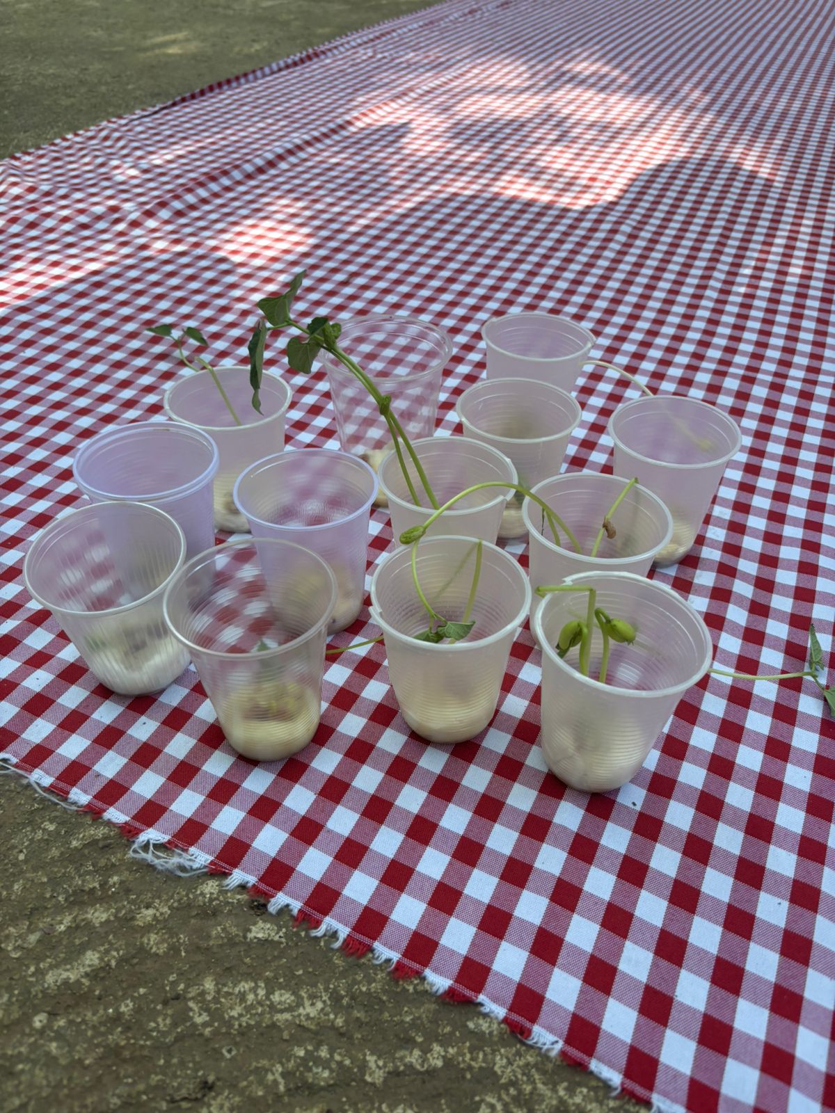 Visita ao Parque da Matinha