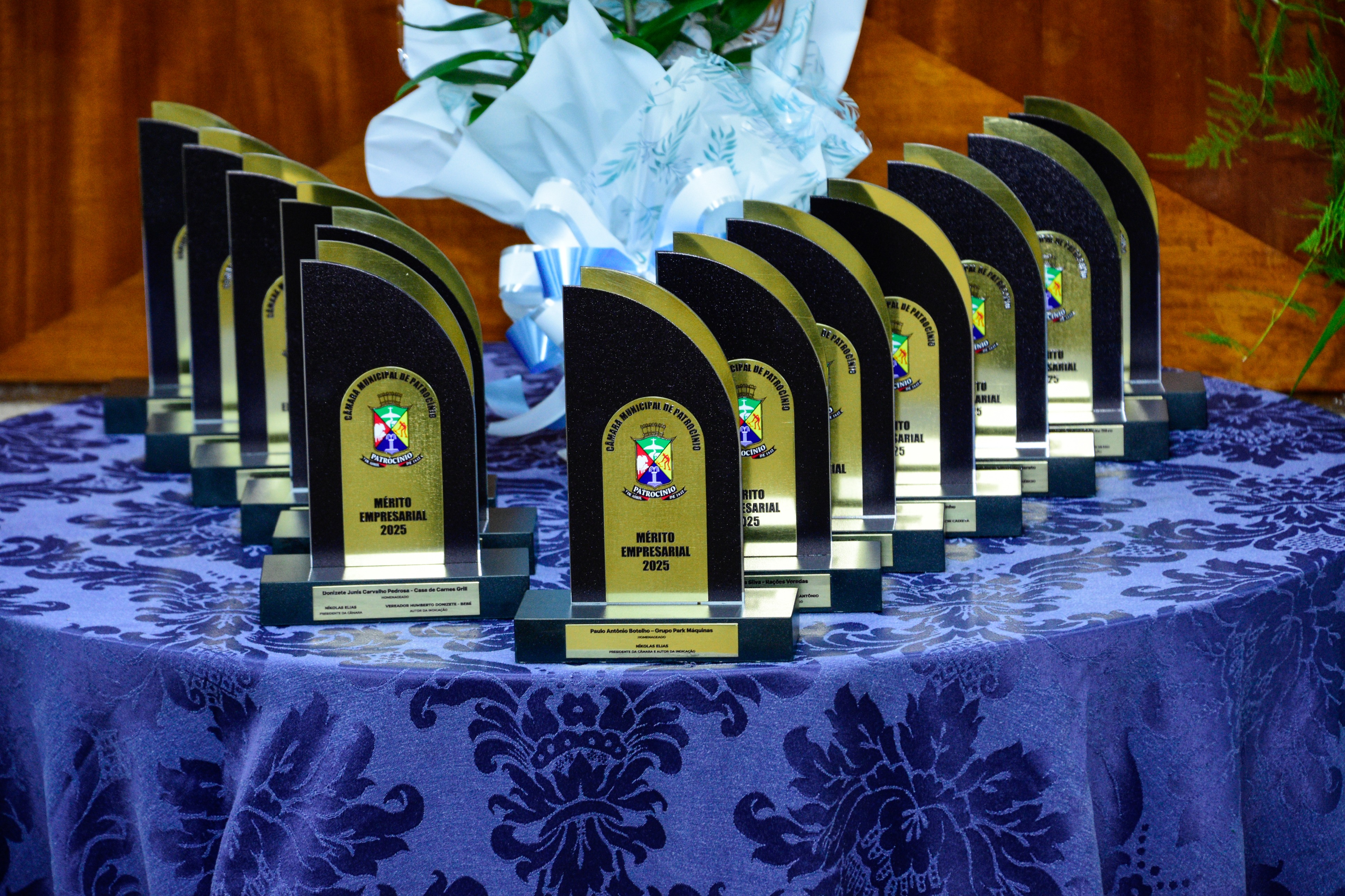Mérito Empresarial 2025 (4).jpg
