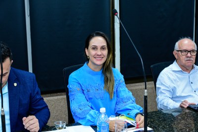 36ª Reunião Ordinária da Câmara - 04-11-25 (99).jpg