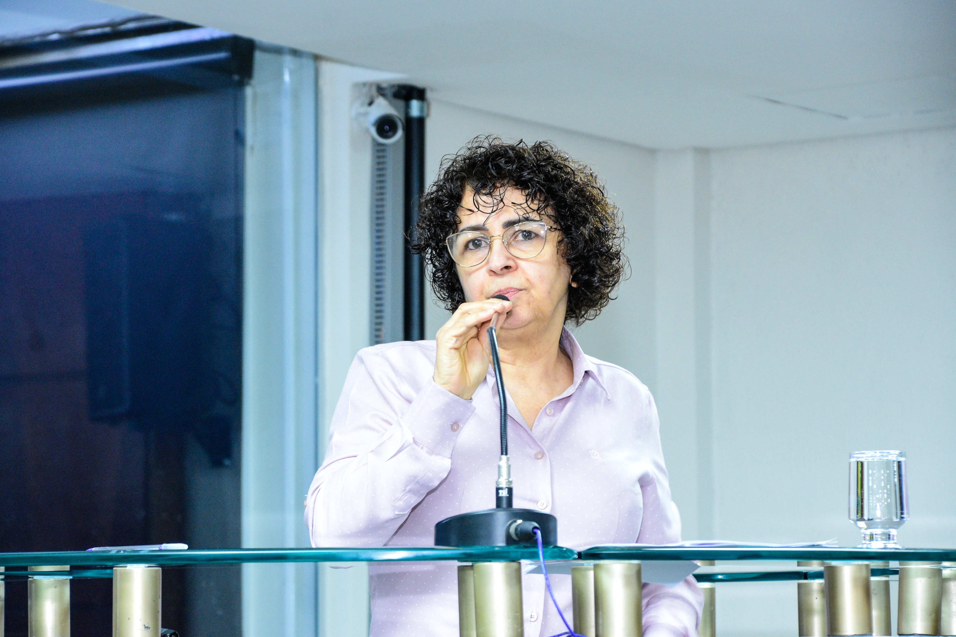 37ª Reunião Ordinária da Câmara - 12-11-2025 (37).jpg