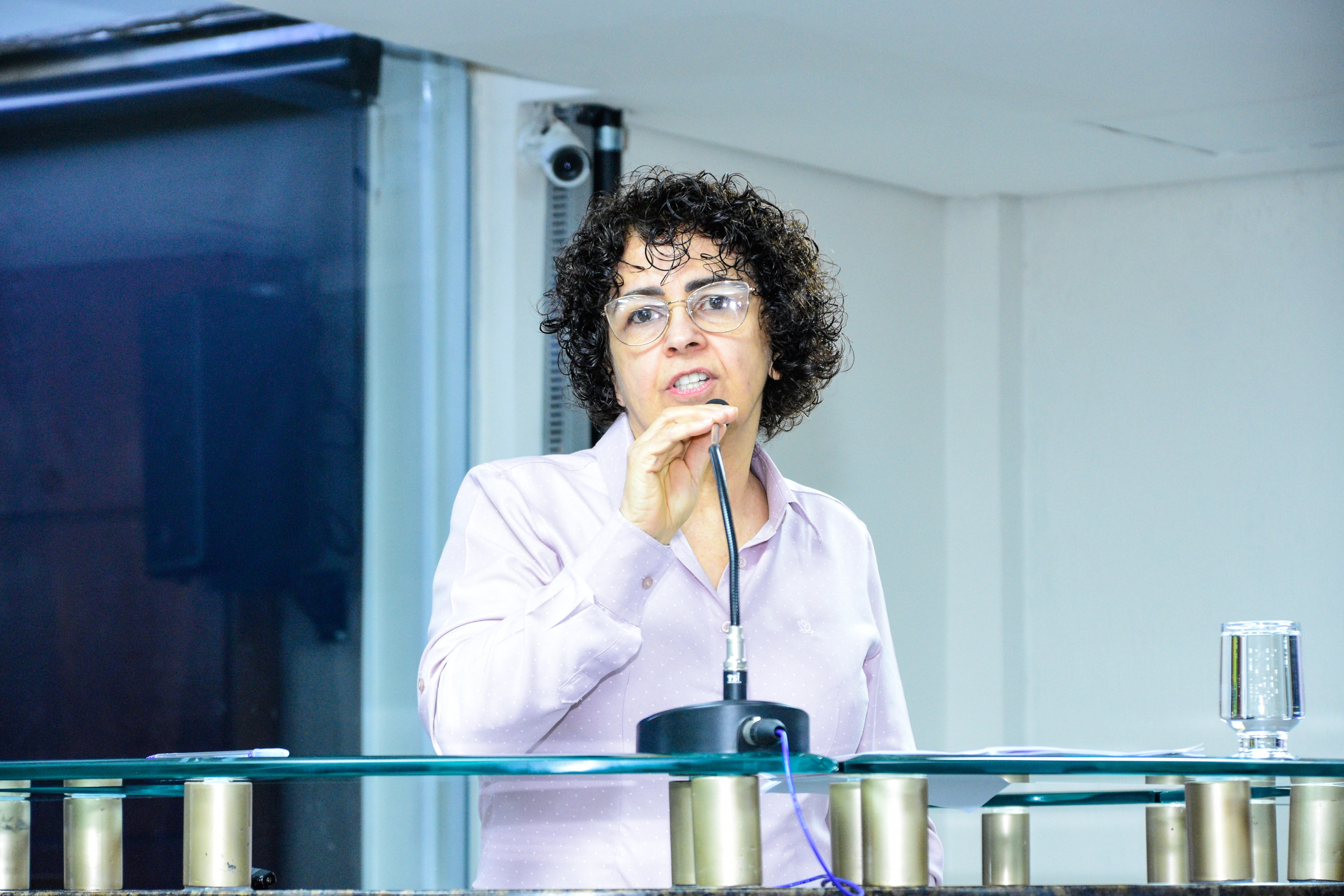 37ª Reunião Ordinária da Câmara - 12-11-2025 (38).jpg