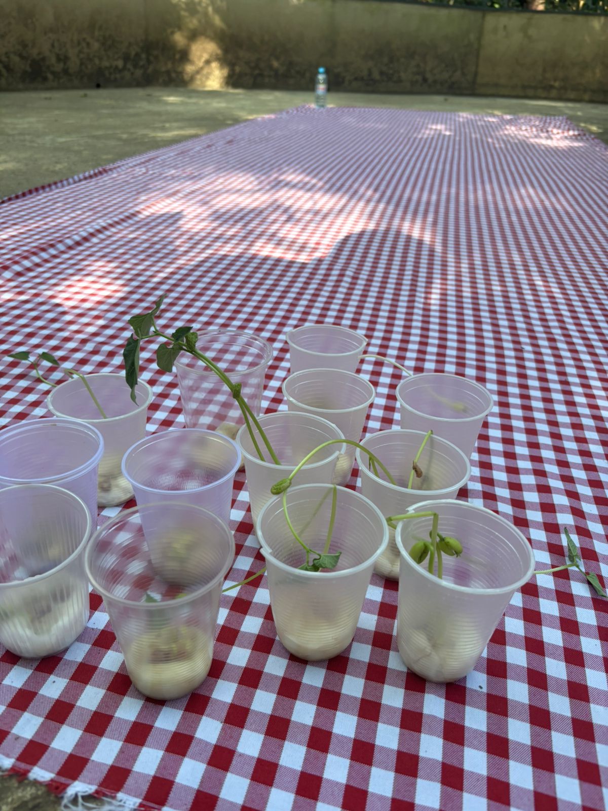 Visita ao Parque da Matinha