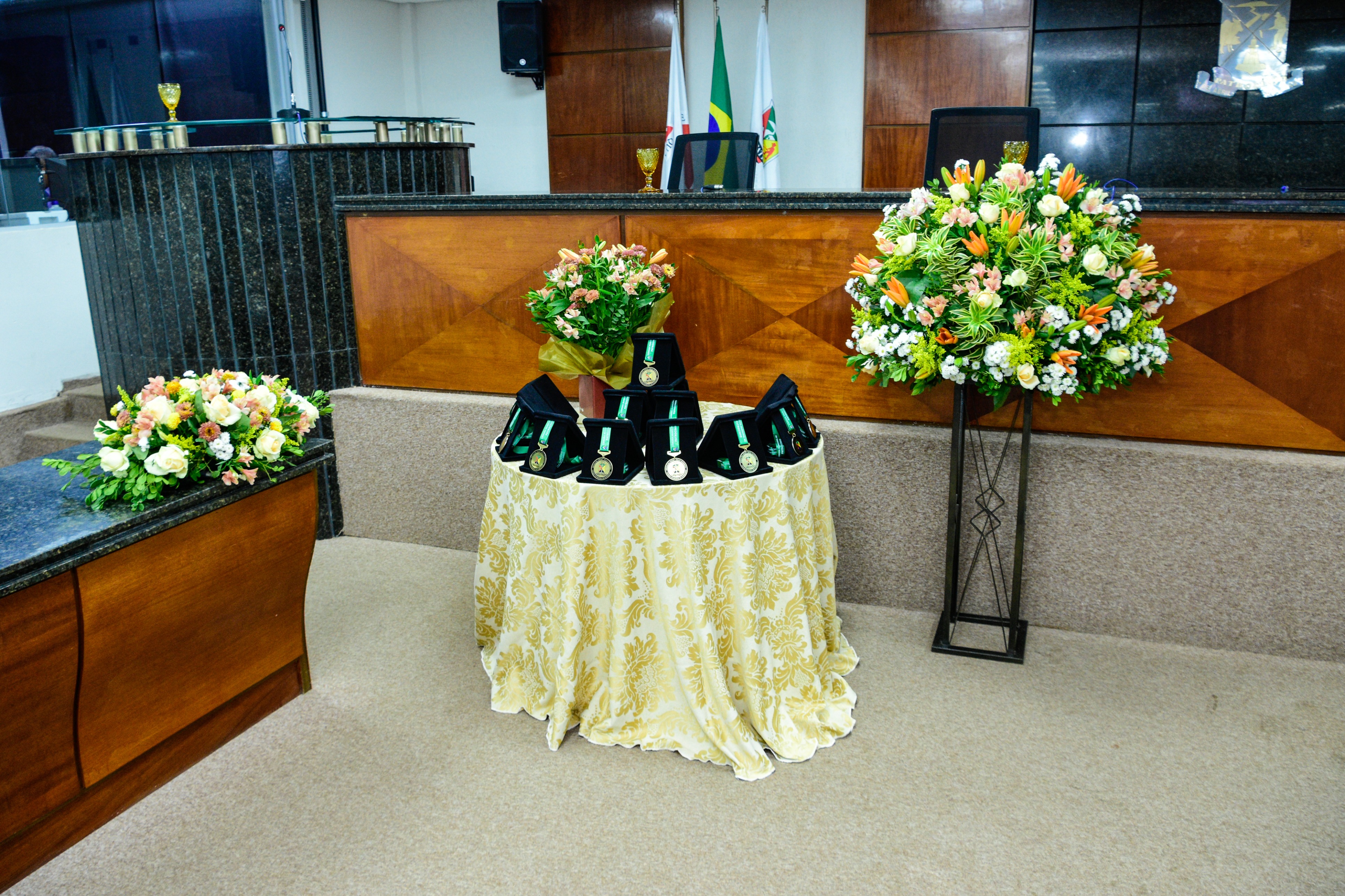 Medalha-Professora-Olga-Barbosa-09-10-2025 (1).jpg