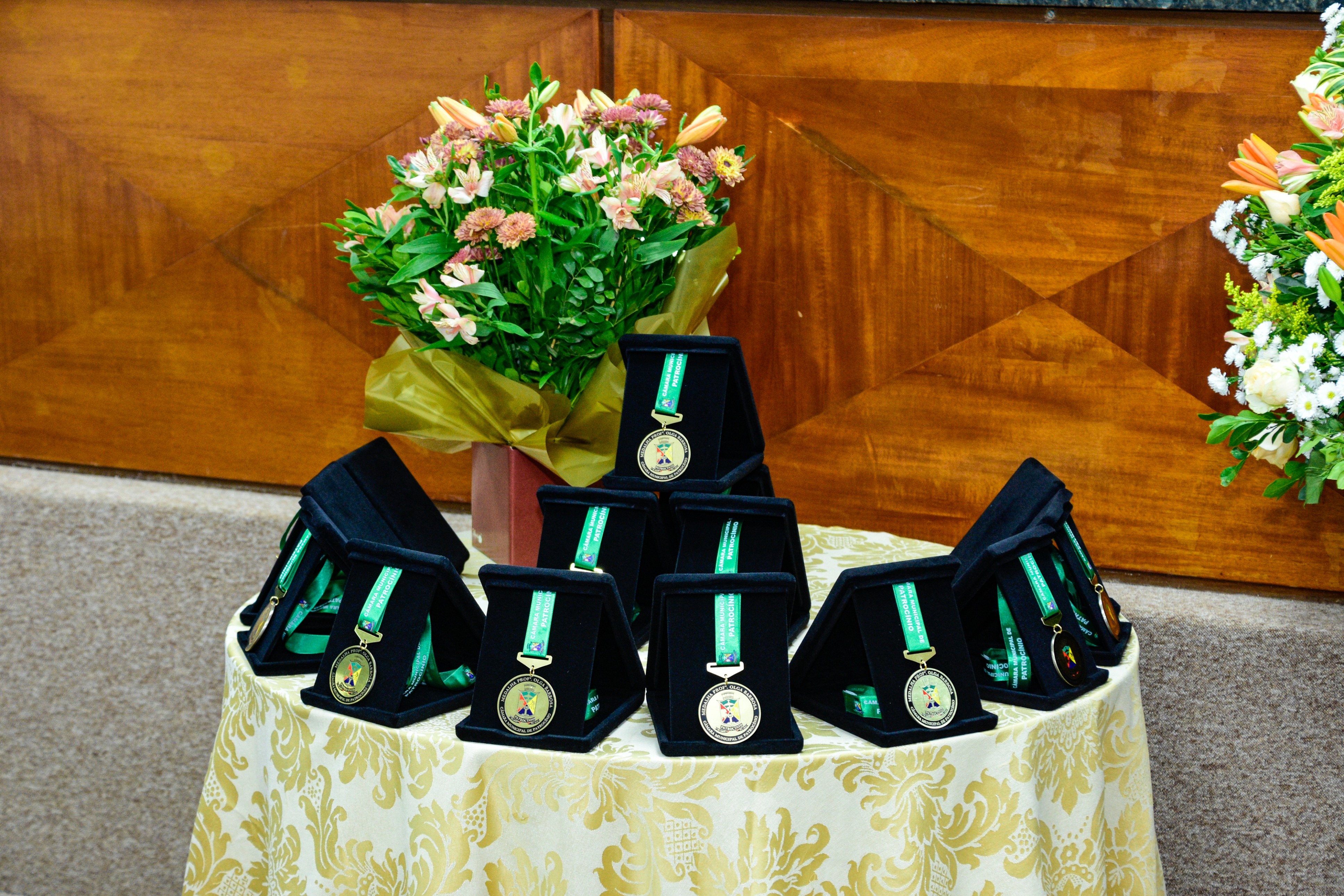 Medalha-Professora-Olga-Barbosa-09-10-2025 (3).jpg