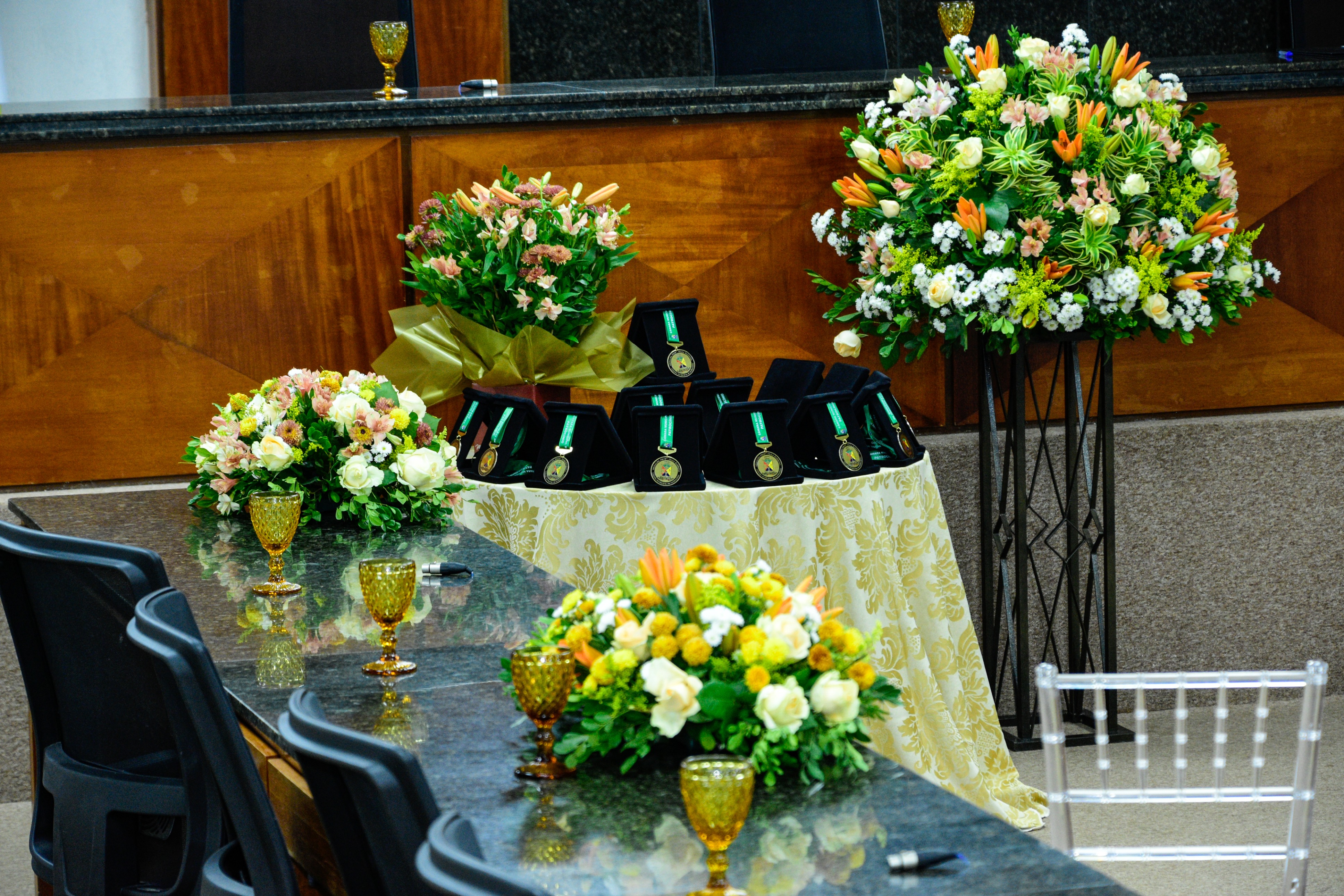 Medalha-Professora-Olga-Barbosa-09-10-2025 (6).jpg