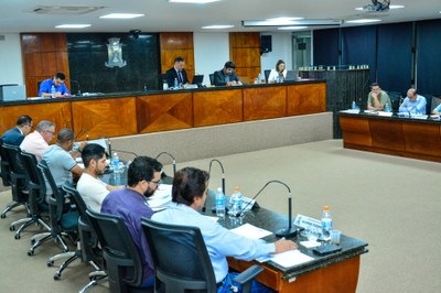 29ª- Reunião Ordinária - 2025 (22).jpg