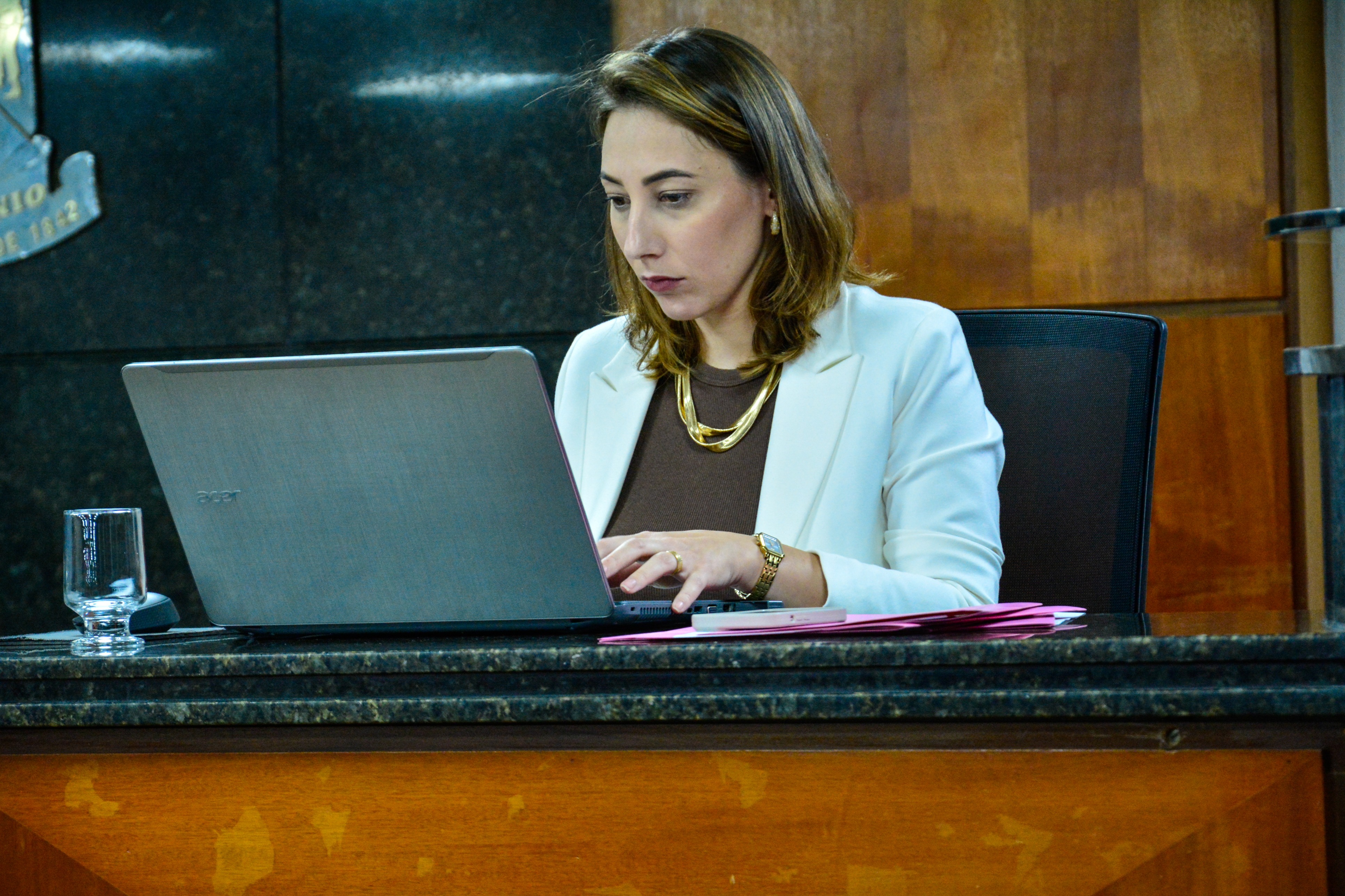 29ª- Reunião Ordinária - 2025 (69).jpg