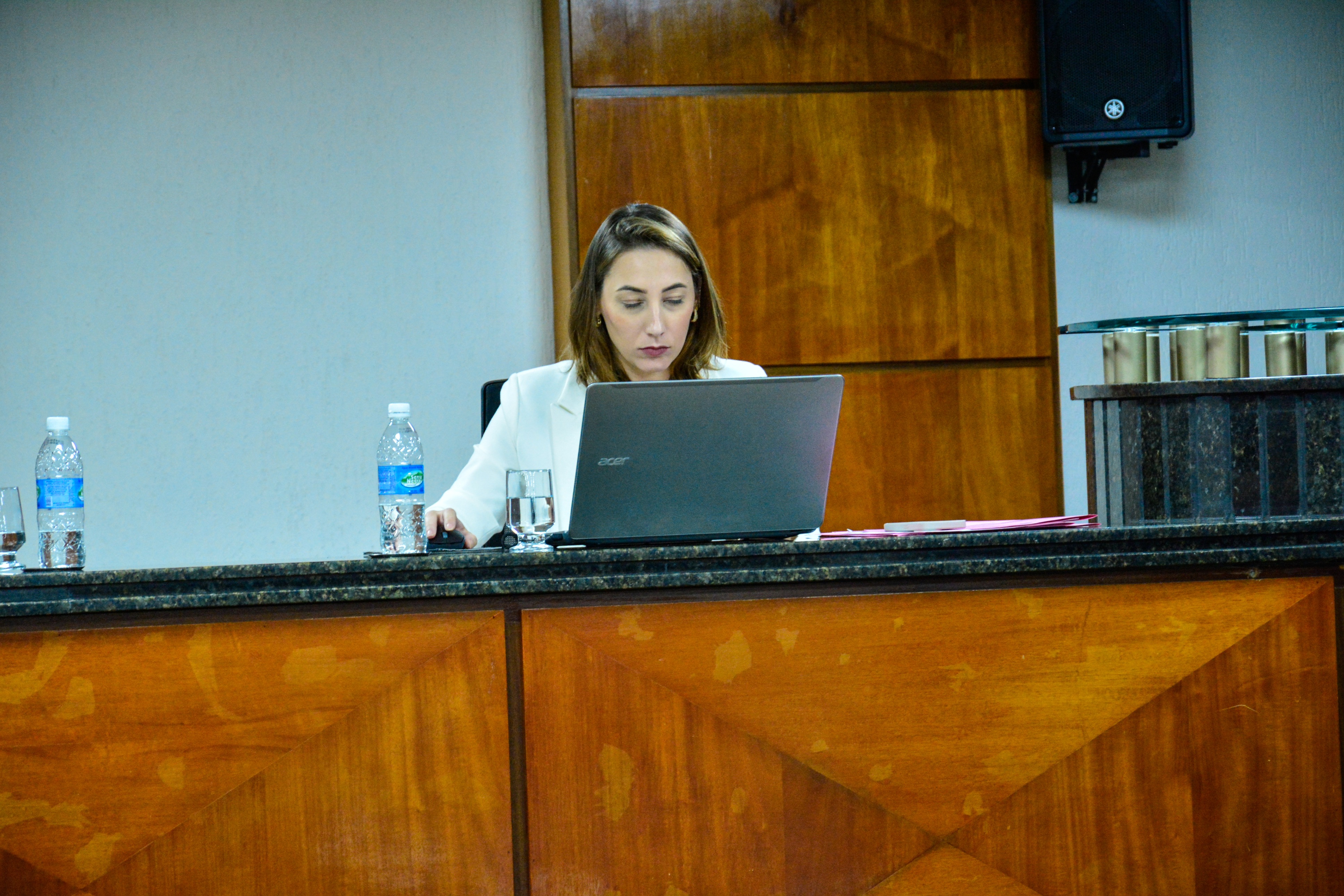 29ª- Reunião Ordinária - 2025 (97).jpg