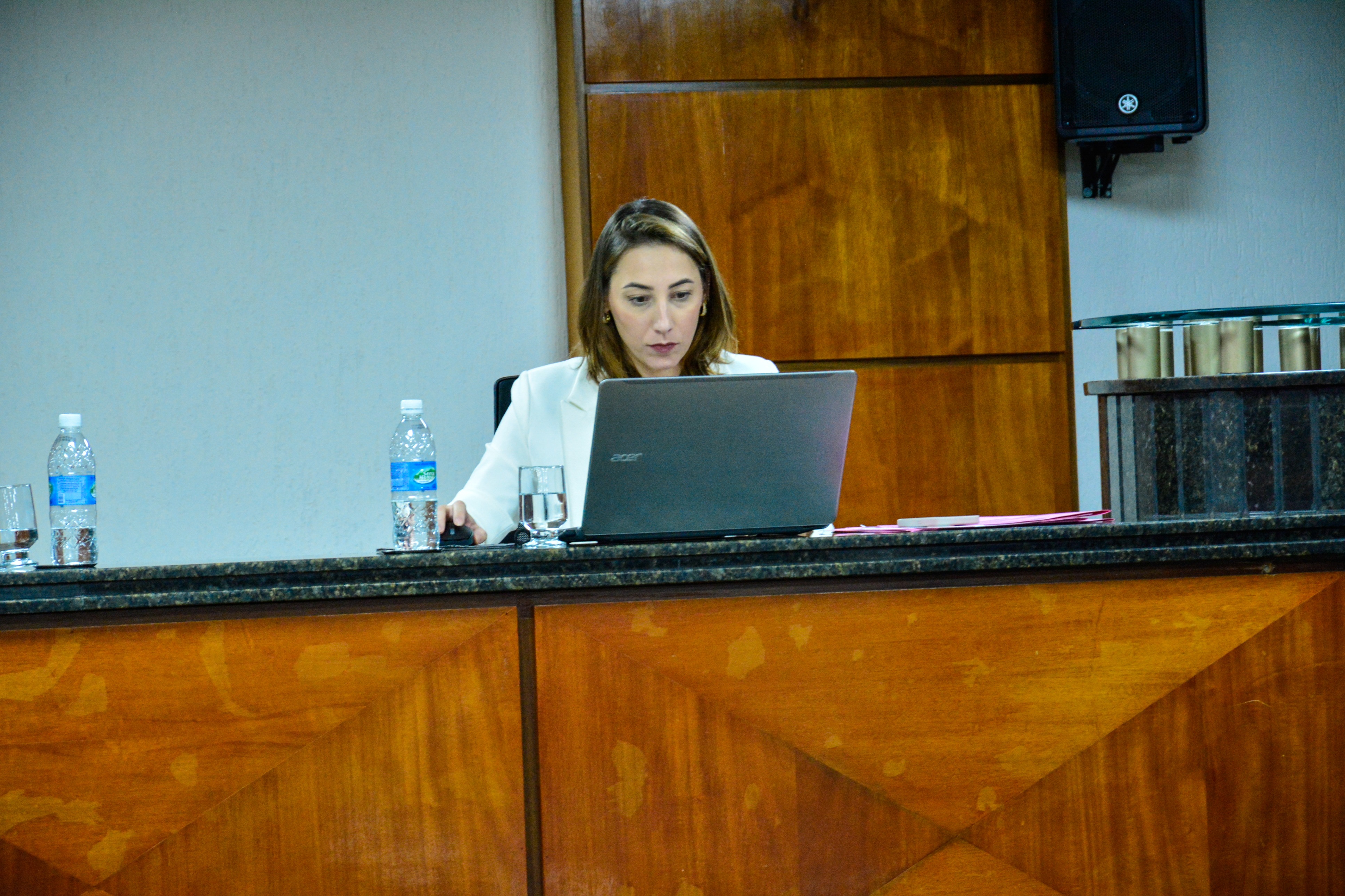 29ª- Reunião Ordinária - 2025 (98).jpg