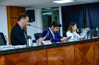 31ª Reunião Ordinária - 30-09-2025 (21).jpg