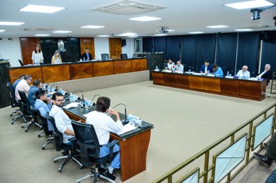 36ª Reunião Ordinária da Câmara - 04-11-25 (116).jpg