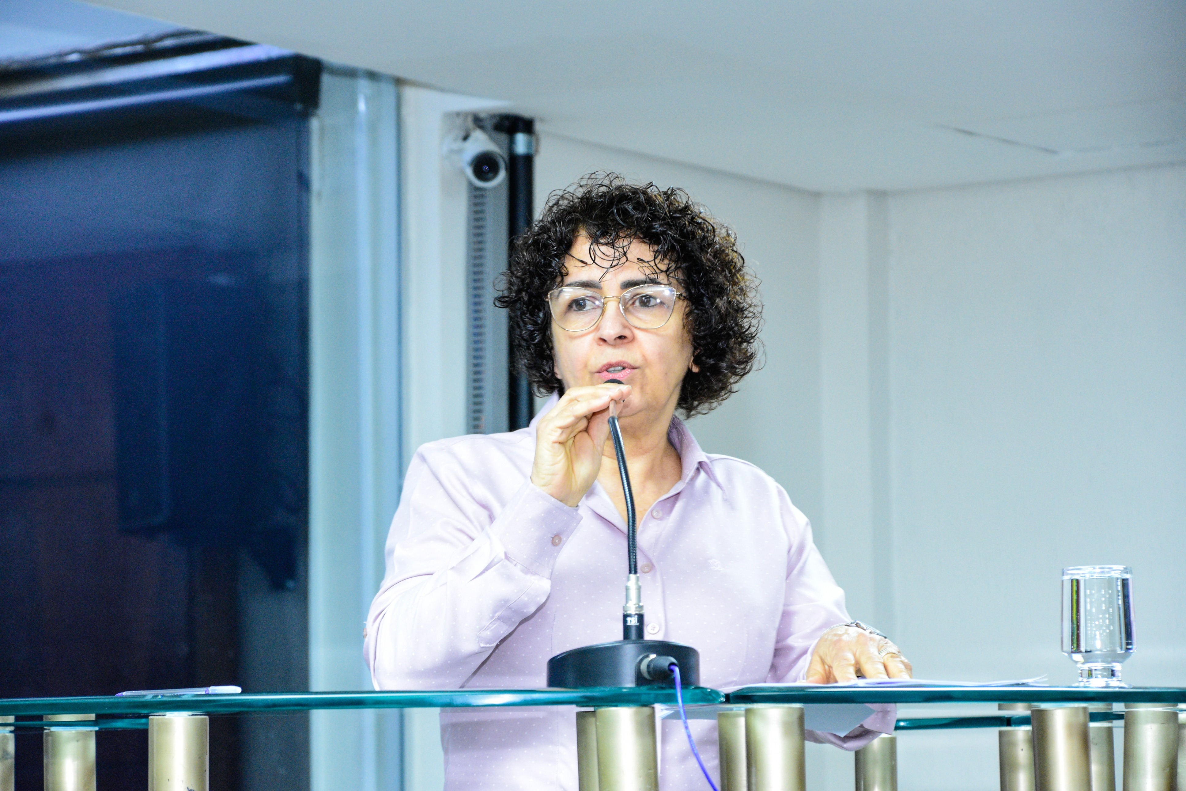 37ª Reunião Ordinária da Câmara - 12-11-2025 (36).jpg