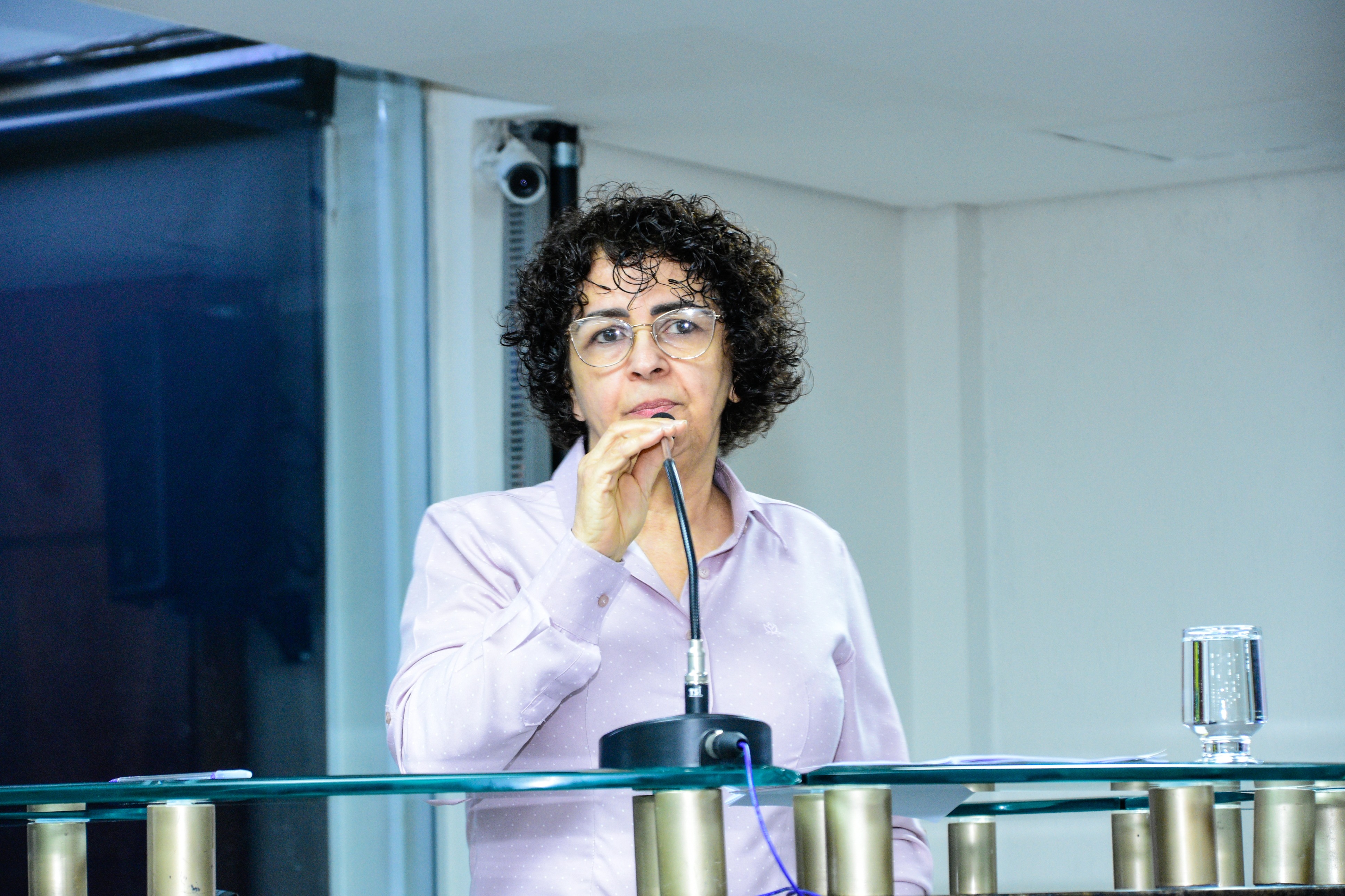 37ª Reunião Ordinária da Câmara - 12-11-2025 (39).jpg