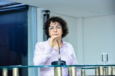 37ª Reunião Ordinária da Câmara - 12-11-2025 (39).jpg