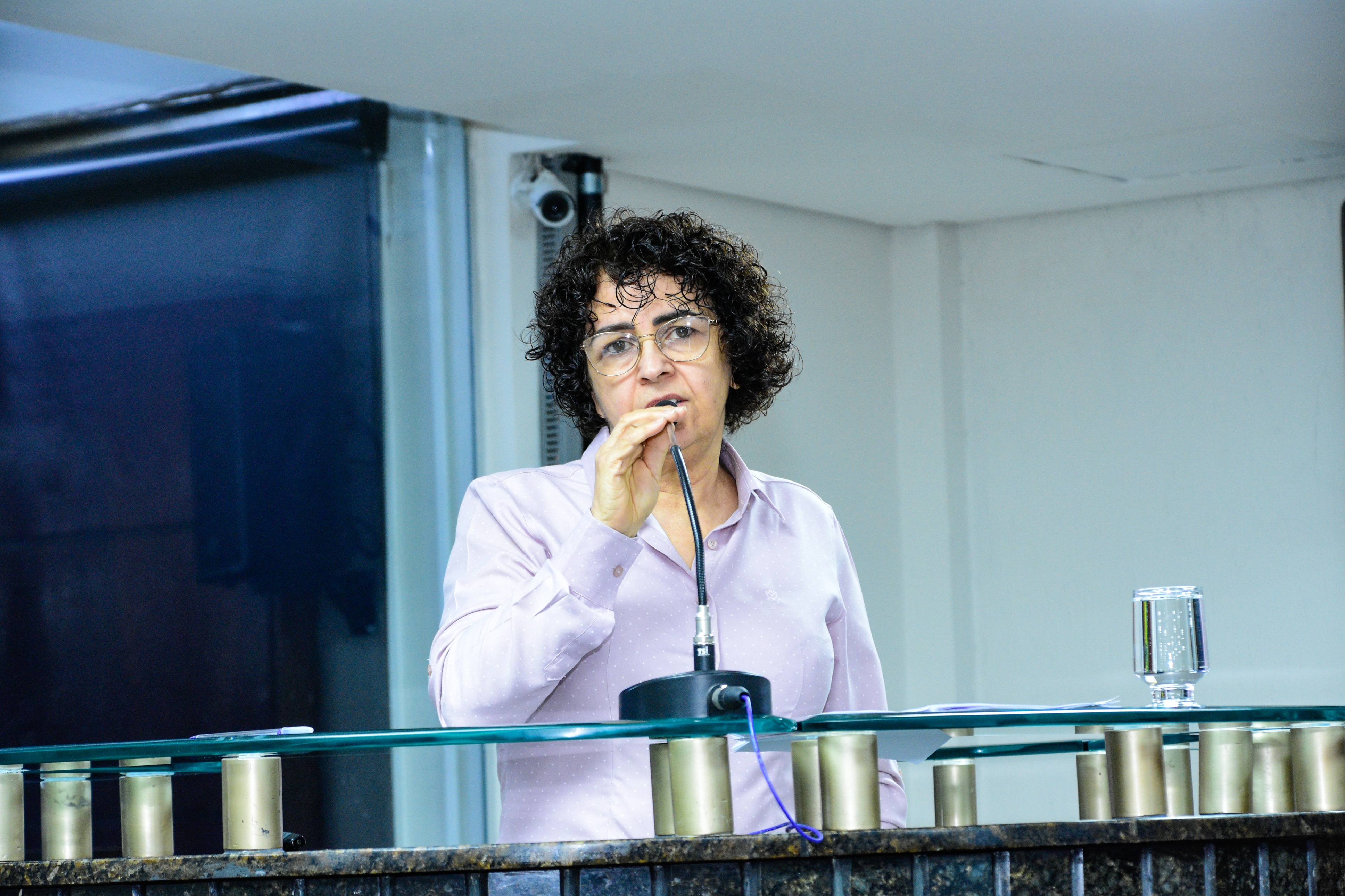 37ª Reunião Ordinária da Câmara - 12-11-2025 (40).jpg