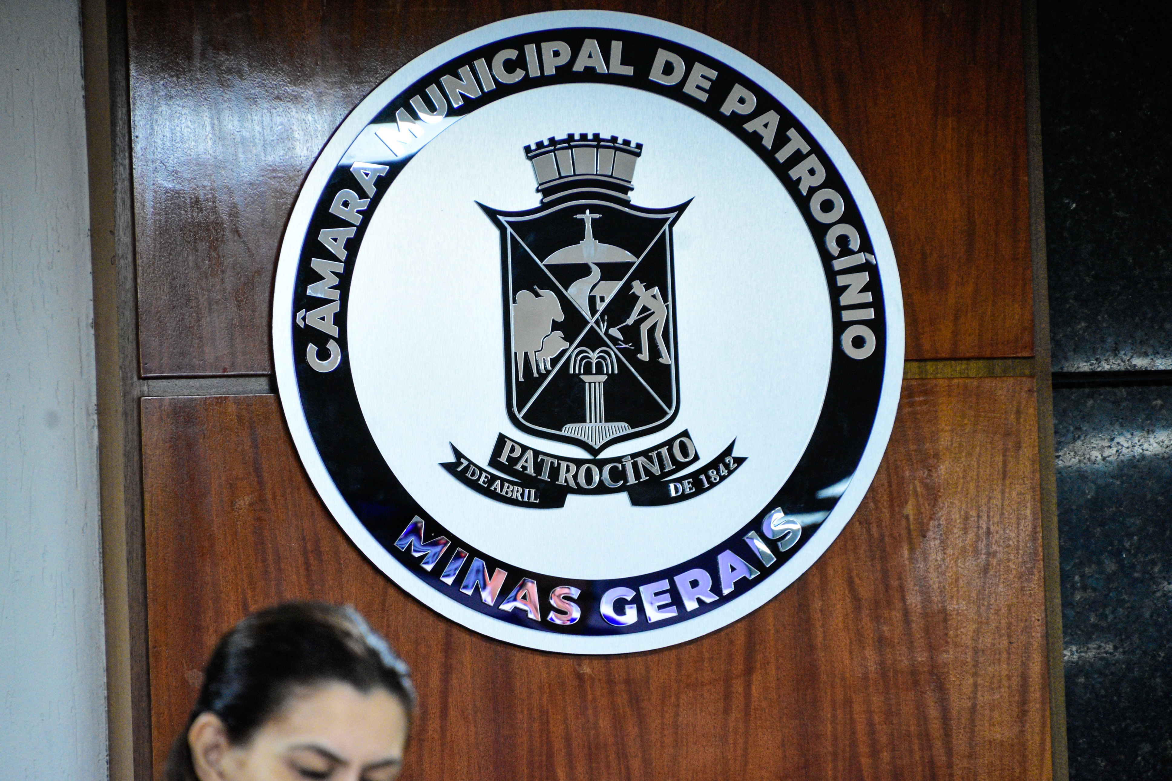 38ª Reunião Ordinária - 18-11-2025 (45).jpg