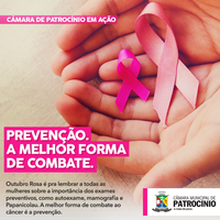 CÂMARA MUNICIPAL DE PATROCÍNIO APOIA O OUTUBRO ROSA