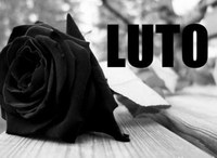 LUTO