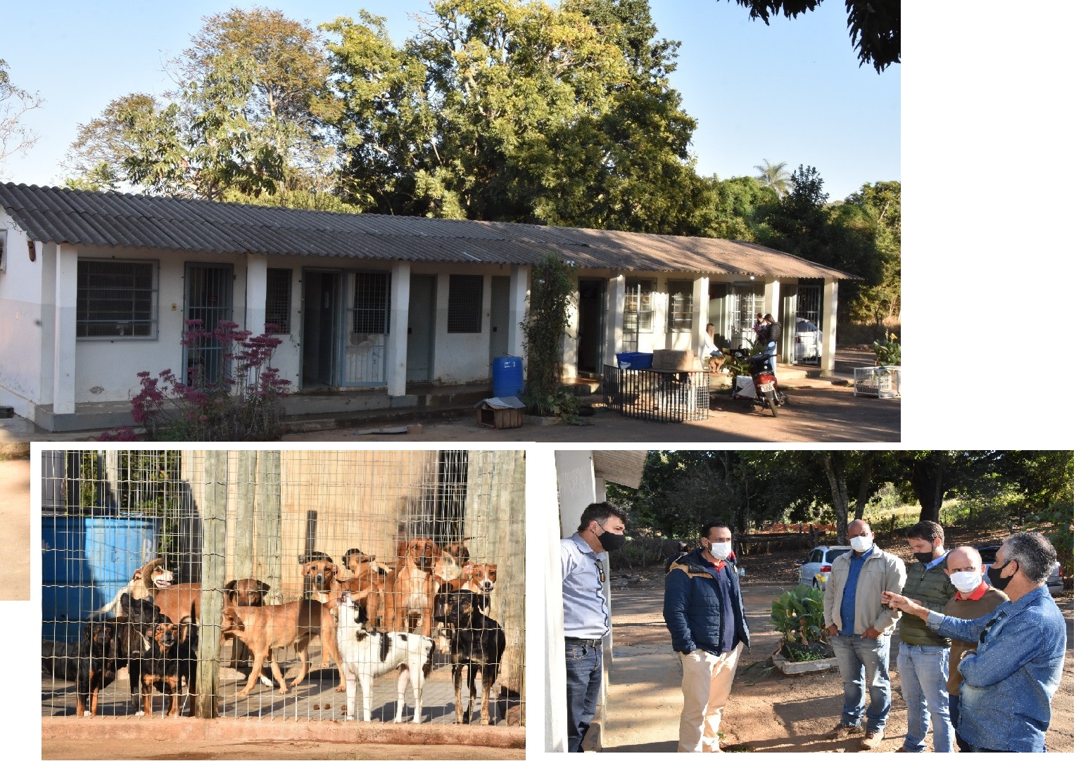 Vereadores se unem para solução do Canil Municipal